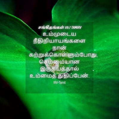 Picture 04 - சங்கீதங்கள் 119:7 TAMIRV - உம்முடைய - Bible Verse Picture