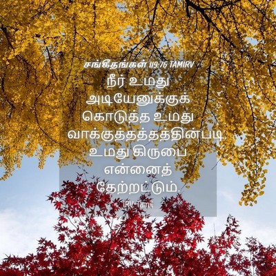 Picture 04 - சங்கீதங்கள் 119:76 TAMIRV - நீர் உமது - Bible Verse Picture