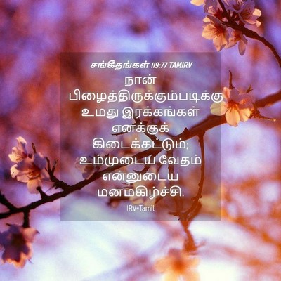 Picture 04 - சங்கீதங்கள் 119:77 TAMIRV - நான் - Bible Verse Picture