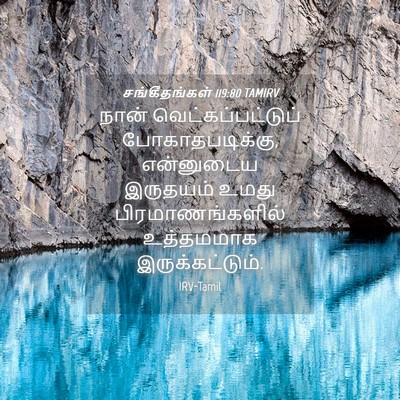 Picture 04 - சங்கீதங்கள் 119:80 TAMIRV - நான் - Bible Verse Picture