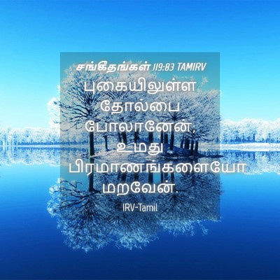 Picture 04 - சங்கீதங்கள் 119:83 TAMIRV - புகையிலுள்ள - Bible Verse Picture