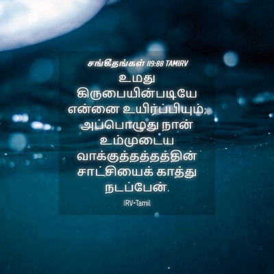 Picture 04 - சங்கீதங்கள் 119:88 TAMIRV - உமது - Bible Verse Picture