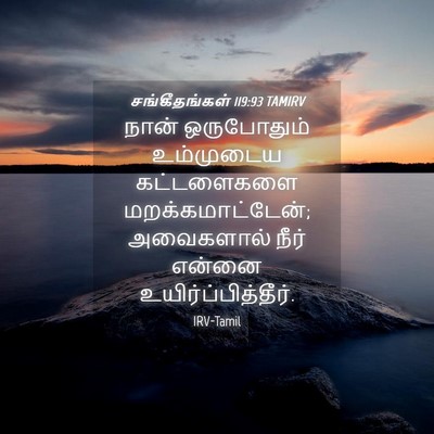 Picture 04 - சங்கீதங்கள் 119:93 TAMIRV - நான் ஒருபோதும் - Bible Verse Picture