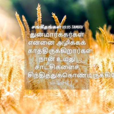 Picture 04 - சங்கீதங்கள் 119:95 TAMIRV - துன்மார்க்கர்கள் - Bible Verse Picture