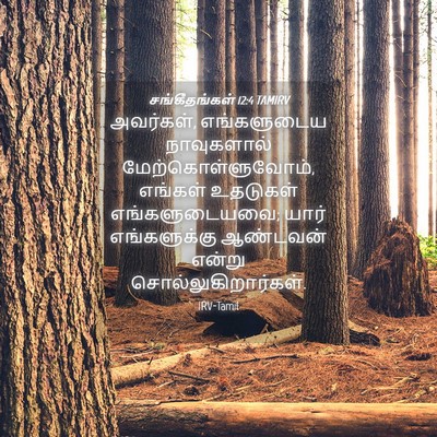 Picture 04 - சங்கீதங்கள் 12:4 TAMIRV - அவர்கள், - Bible Verse Picture