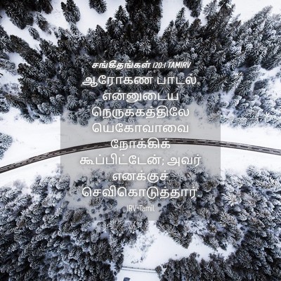 Picture 04 - சங்கீதங்கள் 120:1 TAMIRV - ஆரோகண பாடல். - Bible Verse Picture