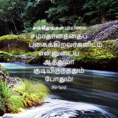 Picture 04 - சங்கீதங்கள் 120:6 TAMIRV - சமாதானத்தைப் - Bible Verse Picture