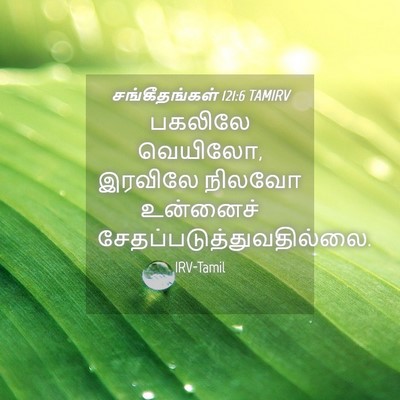 Picture 04 - சங்கீதங்கள் 121:6 TAMIRV - பகலிலே வெயிலோ, - Bible Verse Picture