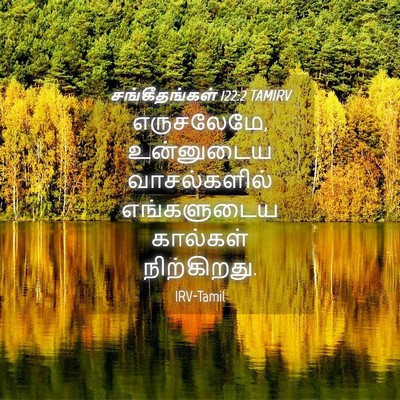 Picture 04 - சங்கீதங்கள் 122:2 TAMIRV - எருசலேமே, - Bible Verse Picture