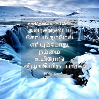 Picture 04 - சங்கீதங்கள் 124:3 TAMIRV - அவர்களுடைய கோபம் - Bible Verse Picture
