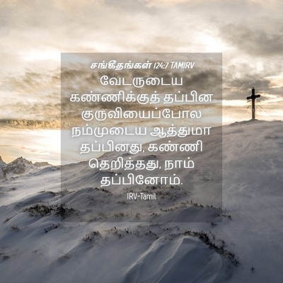 Picture 04 - சங்கீதங்கள் 124:7 TAMIRV - வேடருடைய - Bible Verse Picture