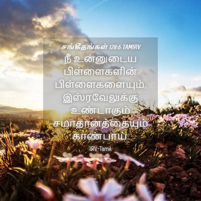 Picture 04 - சங்கீதங்கள் 128:6 TAMIRV - நீ உன்னுடைய - Bible Verse Picture
