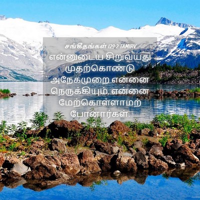 Picture 04 - சங்கீதங்கள் 129:2 TAMIRV - என்னுடைய சிறுவயது - Bible Verse Picture
