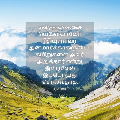 Picture 04 - சங்கீதங்கள் 129:4 TAMIRV - யெகோவாவோ - Bible Verse Picture