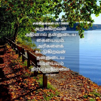 Picture 04 - சங்கீதங்கள் 129:7 TAMIRV - அறுக்கிறவன் - Bible Verse Picture
