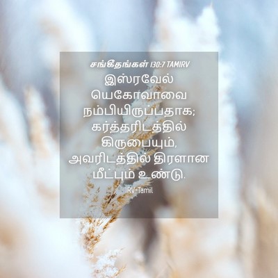Picture 04 - சங்கீதங்கள் 130:7 TAMIRV - இஸ்ரவேல் யெகோவாவை - Bible Verse Picture