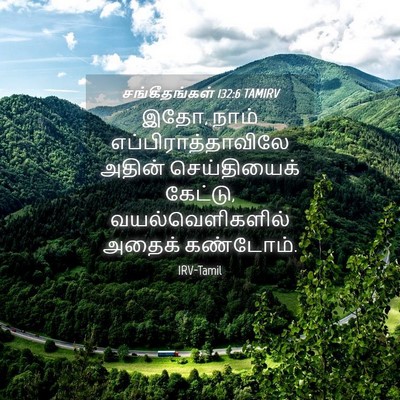 Picture 04 - சங்கீதங்கள் 132:6 TAMIRV - இதோ, நாம் - Bible Verse Picture
