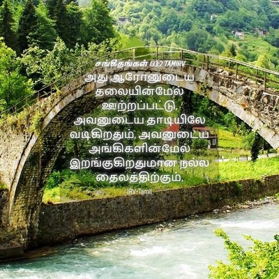 Picture 04 - சங்கீதங்கள் 133:2 TAMIRV - அது ஆரோனுடைய - Bible Verse Picture