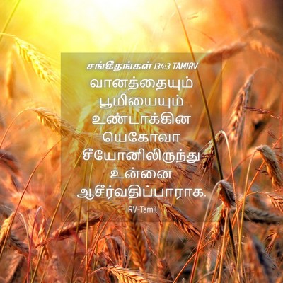 Picture 04 - சங்கீதங்கள் 134:3 TAMIRV - வானத்தையும் - Bible Verse Picture