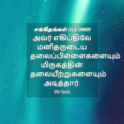 Picture 04 - சங்கீதங்கள் 135:8 TAMIRV - அவர் எகிப்திலே - Bible Verse Picture