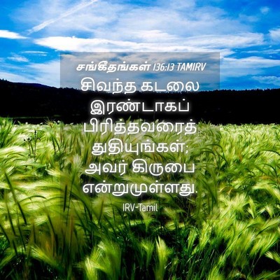 Picture 04 - சங்கீதங்கள் 136:13 TAMIRV - சிவந்த கடலை - Bible Verse Picture