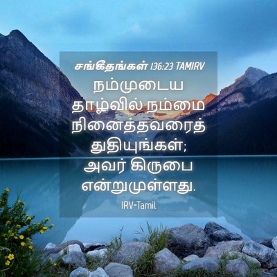 Picture 04 - சங்கீதங்கள் 136:23 TAMIRV - நம்முடைய தாழ்வில் - Bible Verse Picture