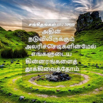 Picture 04 - சங்கீதங்கள் 137:2 TAMIRV - அதின் - Bible Verse Picture