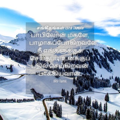 Picture 04 - சங்கீதங்கள் 137:8 TAMIRV - பாபிலோன் மகளே, - Bible Verse Picture