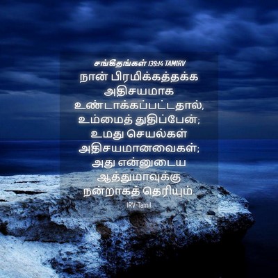 Picture 04 - சங்கீதங்கள் 139:14 TAMIRV - நான் - Bible Verse Picture