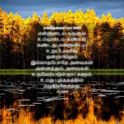 Picture 04 - சங்கீதங்கள் 139:16 TAMIRV - என்னுடைய கருவை - Bible Verse Picture