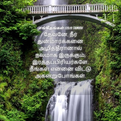 Picture 04 - சங்கீதங்கள் 139:19 TAMIRV - தேவனே, நீர் - Bible Verse Picture