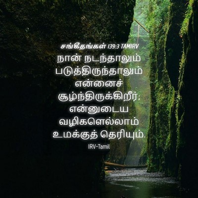 Picture 04 - சங்கீதங்கள் 139:3 TAMIRV - நான் நடந்தாலும் - Bible Verse Picture