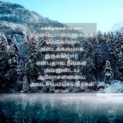 Picture 04 - சங்கீதங்கள் 14:6 TAMIRV -  - Bible Verse Picture