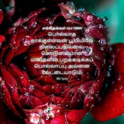 Picture 04 - சங்கீதங்கள் 140:11 TAMIRV - பொல்லாத - Bible Verse Picture
