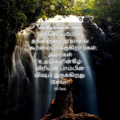 Picture 04 - சங்கீதங்கள் 140:3 TAMIRV - பாம்பைப்போல் - Bible Verse Picture