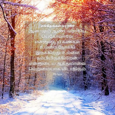 Picture 04 - சங்கீதங்கள் 141:8 TAMIRV - ஆனாலும் - Bible Verse Picture