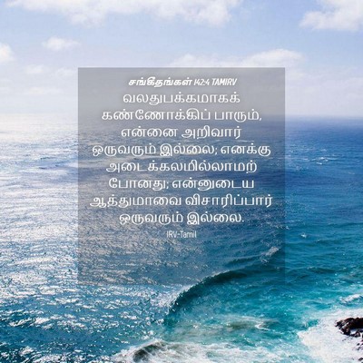 Picture 04 - சங்கீதங்கள் 142:4 TAMIRV - வலதுபக்கமாகக் - Bible Verse Picture