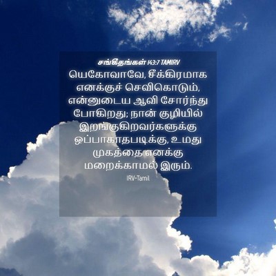 Picture 04 - சங்கீதங்கள் 143:7 TAMIRV - யெகோவாவே, - Bible Verse Picture