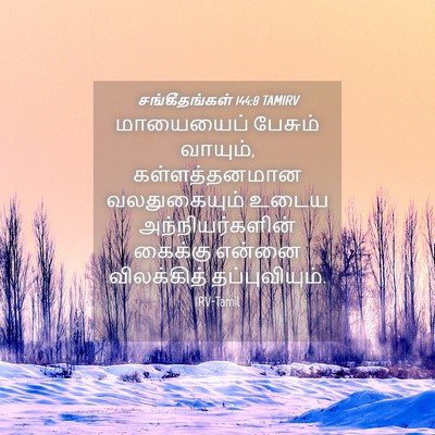Picture 04 - சங்கீதங்கள் 144:8 TAMIRV - மாயையைப் பேசும் - Bible Verse Picture