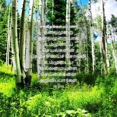 Picture 04 - சங்கீதங்கள் 145:4 TAMIRV - தலைமுறை - Bible Verse Picture