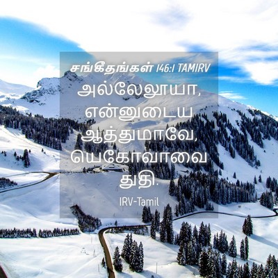 Picture 04 - சங்கீதங்கள் 146:1 TAMIRV - அல்லேலூயா, - Bible Verse Picture
