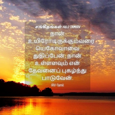 Picture 04 - சங்கீதங்கள் 146:2 TAMIRV - நான் - Bible Verse Picture