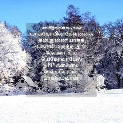 Picture 04 - சங்கீதங்கள் 146:5 TAMIRV - யாக்கோபின் - Bible Verse Picture