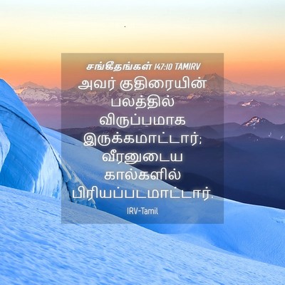 Picture 04 - சங்கீதங்கள் 147:10 TAMIRV - அவர் குதிரையின் - Bible Verse Picture