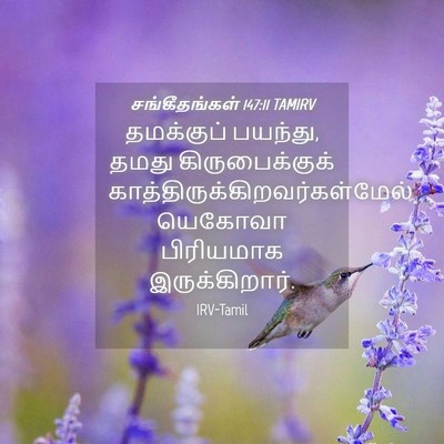 Picture 04 - சங்கீதங்கள் 147:11 TAMIRV - தமக்குப் பயந்து, - Bible Verse Picture
