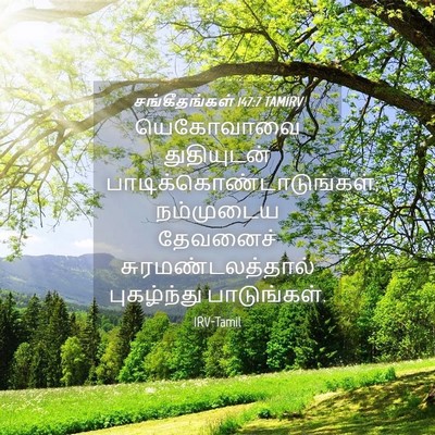 Picture 04 - சங்கீதங்கள் 147:7 TAMIRV - யெகோவாவை - Bible Verse Picture