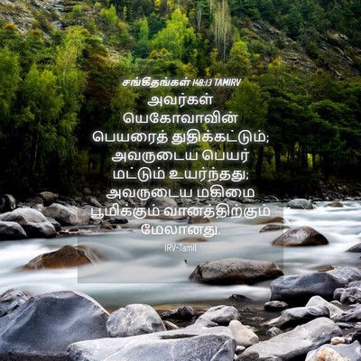 Picture 04 - சங்கீதங்கள் 148:13 TAMIRV - அவர்கள் - Bible Verse Picture