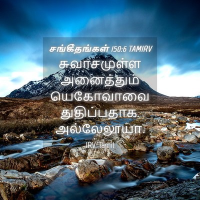 Picture 04 - சங்கீதங்கள் 150:6 TAMIRV - சுவாசமுள்ள - Bible Verse Picture