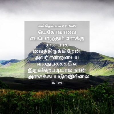 Picture 04 - சங்கீதங்கள் 16:8 TAMIRV - யெகோவாவை - Bible Verse Picture