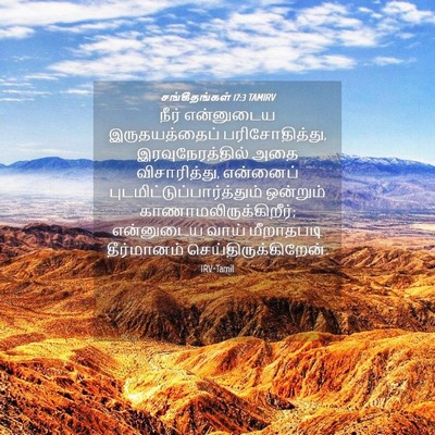 Picture 04 - சங்கீதங்கள் 17:3 TAMIRV - நீர் என்னுடைய - Bible Verse Picture